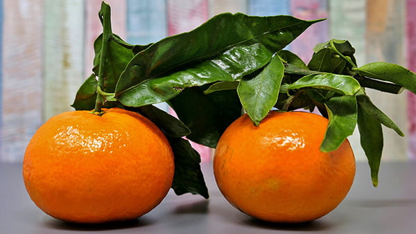 mandarine als obst im winter