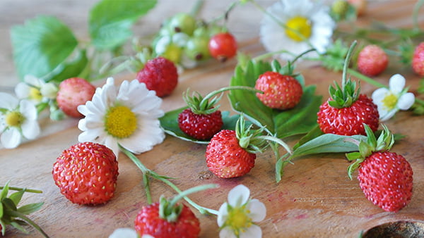 Erdbeeren mit Gänseblümchen auf holztisch