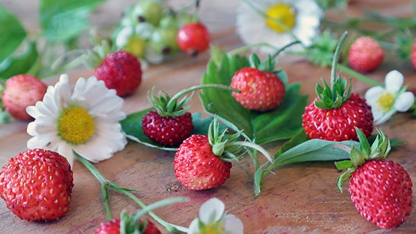 Erdbeeren mit gänseblümchen auf einem holzbrett