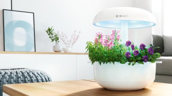 bosch indoor garden mit dem smartgrow und essbaren blüten