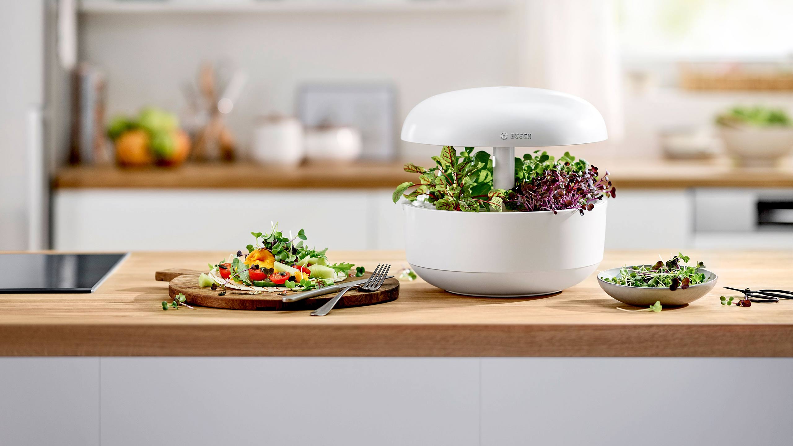 bosch indoor gardening mit dem smartgrow smarter kräutergarten für zuhause