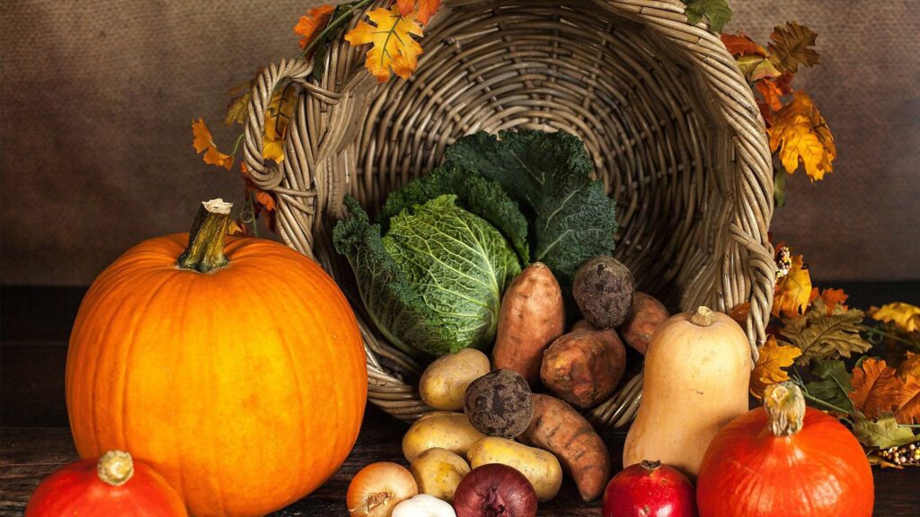saisonale lebensmittel herbst saisonkalender header im küchen staude magazin