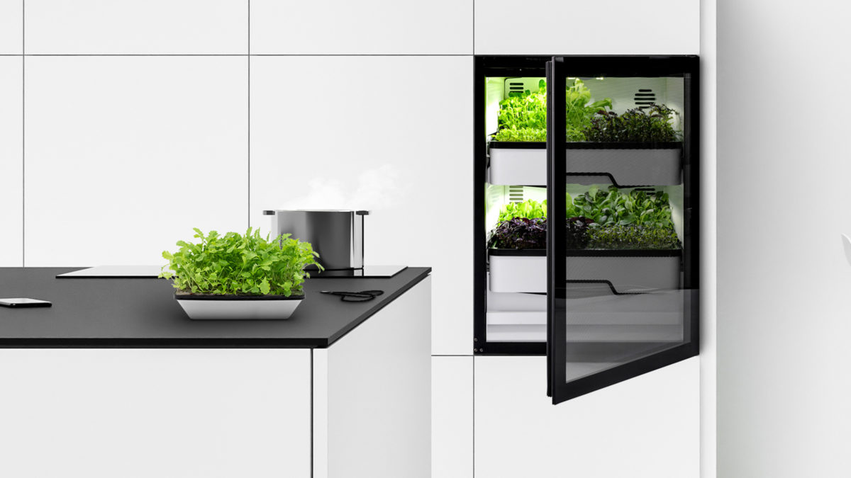 plantcube gewächsschrank von agrilution und miele