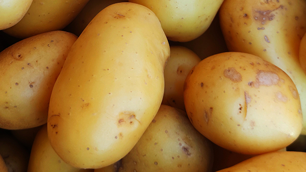 kartoffeln in der mikrowelle kochen