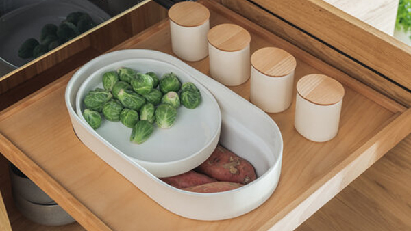walden tablarauszug mit terrabox und dosen